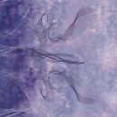 Curved Fabrics Storm mystic lilac J